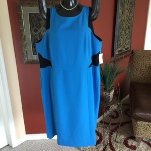 Jones Studio Sleeveless Dress